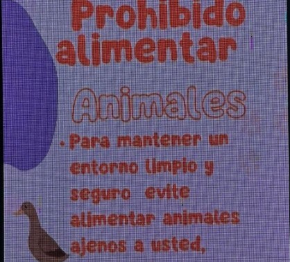 Denuncian envenenamiento de gatos en