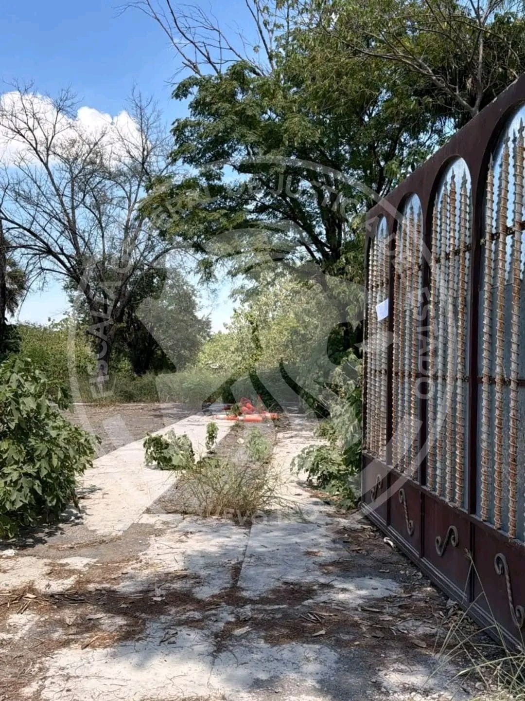 catean-inmueble-robo-juarez.jpg