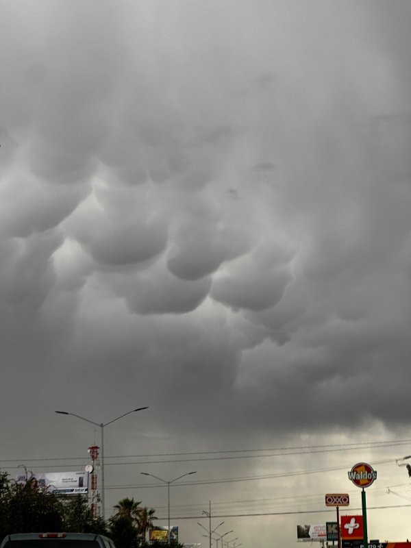 middle-whatsapp-image-20260901-at-113223-019364587 Prevén lluvias y fuertes vientos en Chihuahua; Ojinaga llegará a 39 grados