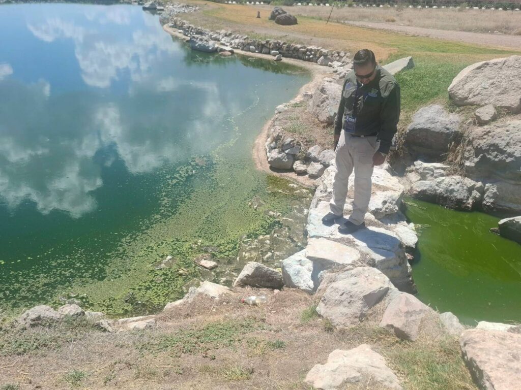 Autoridades inspeccionan agua estancada en Altozano