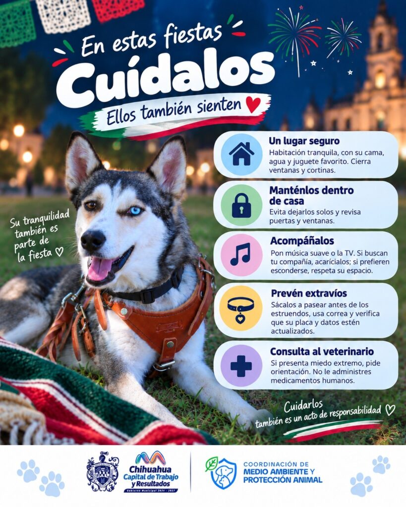 Protege a tus animalitos del ruido de la pirotecnia