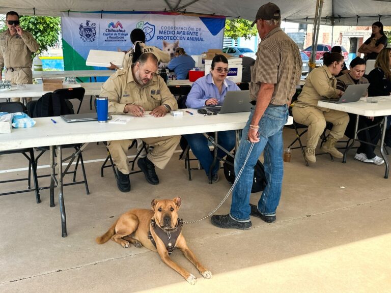 Brinda Municipio más de 940 servicios a mascotas