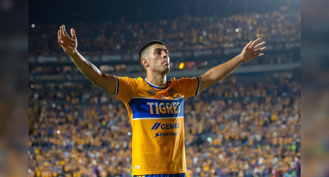 brunetta-tigres-renovacion.jpg
