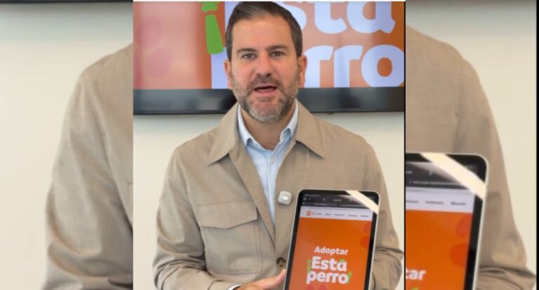 lanza_nuevo_leon_app_para_adoptar_perros_gatos_19eccbedc0