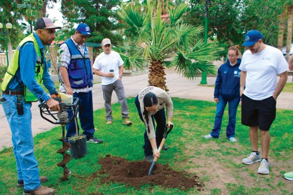 middle-whatsapp-image-20261012-at-12430-pm-016924378 Planta Municipio 108 árboles en el Parque Lerdo
