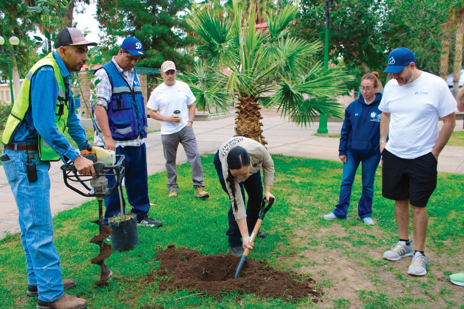 whatsapp-image-20261012-at-12430-pm-016924378-1 Planta Municipio 108 árboles en el Parque Lerdo