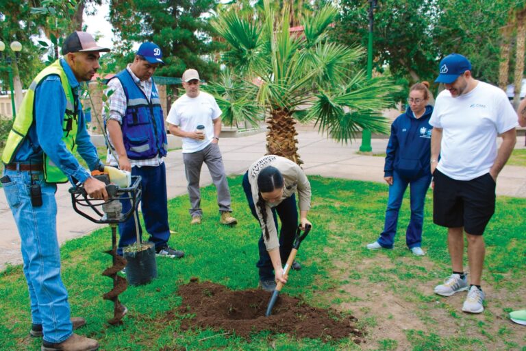 Planta Municipio 108 árboles en el Parque Lerdo