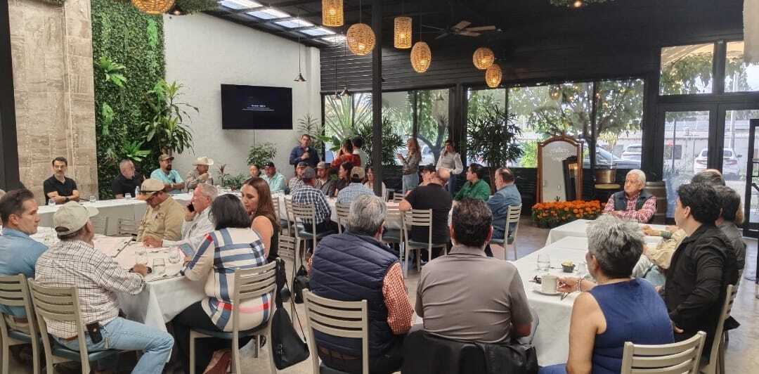 Inicia la cosecha de nuez en Aldama